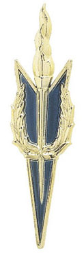 TRIM WREATH TORCH GOLD/BLUE 20mmX90mm