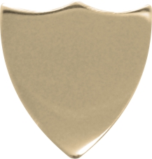 GOLD SMALL SHIELD 30mm X 40mm