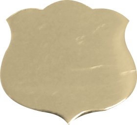 GOLD SMALL SHIELD 325mm X 35mm