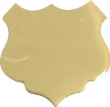 GOLD SMALL SHIELD 30mm X 30mm