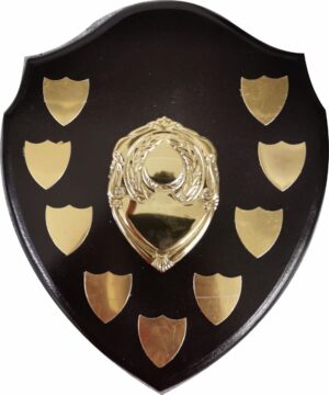 WOODEN SHIELD COMPLETE WITH SILVER SHIELDS 200mm