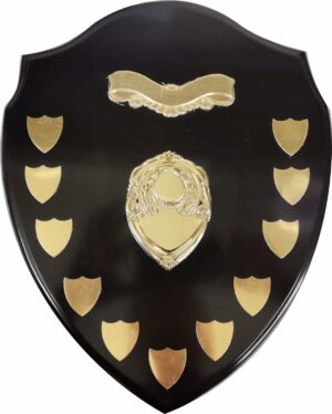 WOODEN SHIELD COMPLETE WITH SILVER SHIELDS 300mm