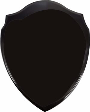 WOODEN SHIELD (WOOD ONLY) 300mm