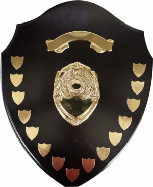 WOODEN SHIELD COMPLETE WITH SILVER SHIELDS 400mm